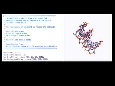 მოგესალმებით კოდის ერთ საათში™!