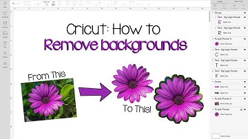 Cricut Design Space Tutorial: How to Remove the Background from any Image!
