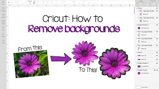 cricut design space tutorial: how to remove the background from any image!