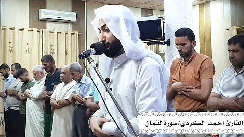 عشائية حجازية (سورة لقمان) | القارئ احمد الكردي جديد..