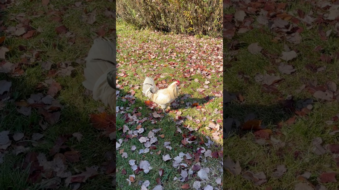 Ozzy meets his children 