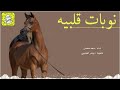 شيله نوبات قلبيه اداء سعد محسن 2025 حماسيه شيله نوبات قلبيه اداء سعد محسن 2025 حماسيه