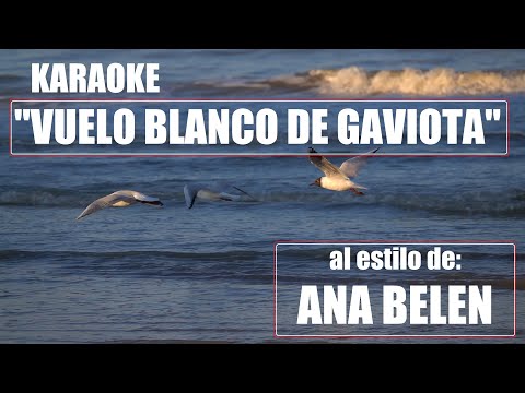 KARAOKE (VUELO BLANCO