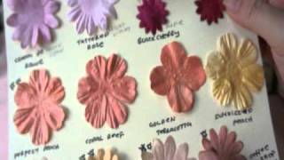 Glimmer Mist Product Review and Comparison