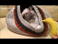 Cat Cave Large: Meowfia Felted Wool Cat Cave with Cable Knitting Product Review Video