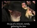 1442  the power of a birt.ay  daily rebbe