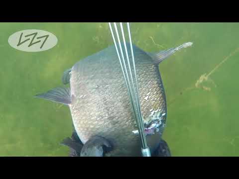 pole-spearing---finland-national-championships-2019-in-vaasa---smells-like-rubber-s2e5