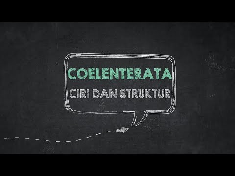 Ciri dan Struktur Coelenterata - adnanbiologi