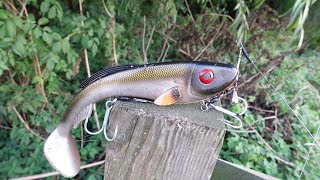 Using Beast Baits to Catch Clear River Beasts