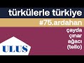 Olcay Köker - Çayda Çınar Ağacı (Tello) | Ardahan Türküleri