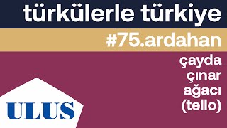 Olcay Köker - Çayda Çınar Ağacı (Tello) | Ardahan Türküleri