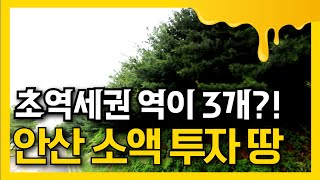 초역세권 역이 3개?! 소액으로 가능한 안산 토지 투자! 010-3391-6663