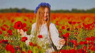 Fabulous Colorful Nature. Red Poppy. The Morning Light - Best Ambient & Instrumental Music.