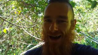tokin daily: a melty thank you