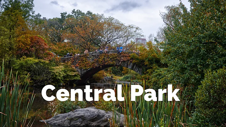 The Colors of Central Park in the Fall | New York City |4K