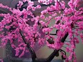 Сакура дерево. продолжение Sakura artificial tree. continued.