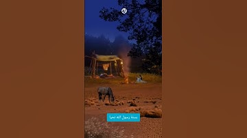 وَيَسْأَلُونَكَ عَنِ الرُّوحِ 🤲 تلاوة تهز القلوب