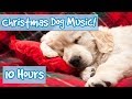 Merry Christmas Therapy Music for Dogs! Calming Christmas Music for Dogs in the Holiday Season! 🎅🏻