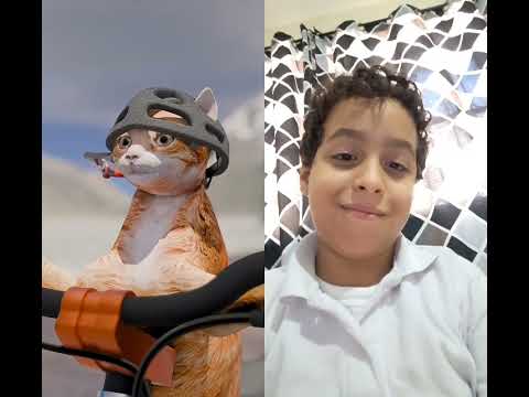 Cat Funny Funnycats Memes What The Fuck Slap 