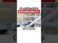 一本のゲームが実在する日本の神社を救った話