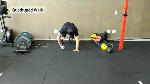 Quadruped Walk