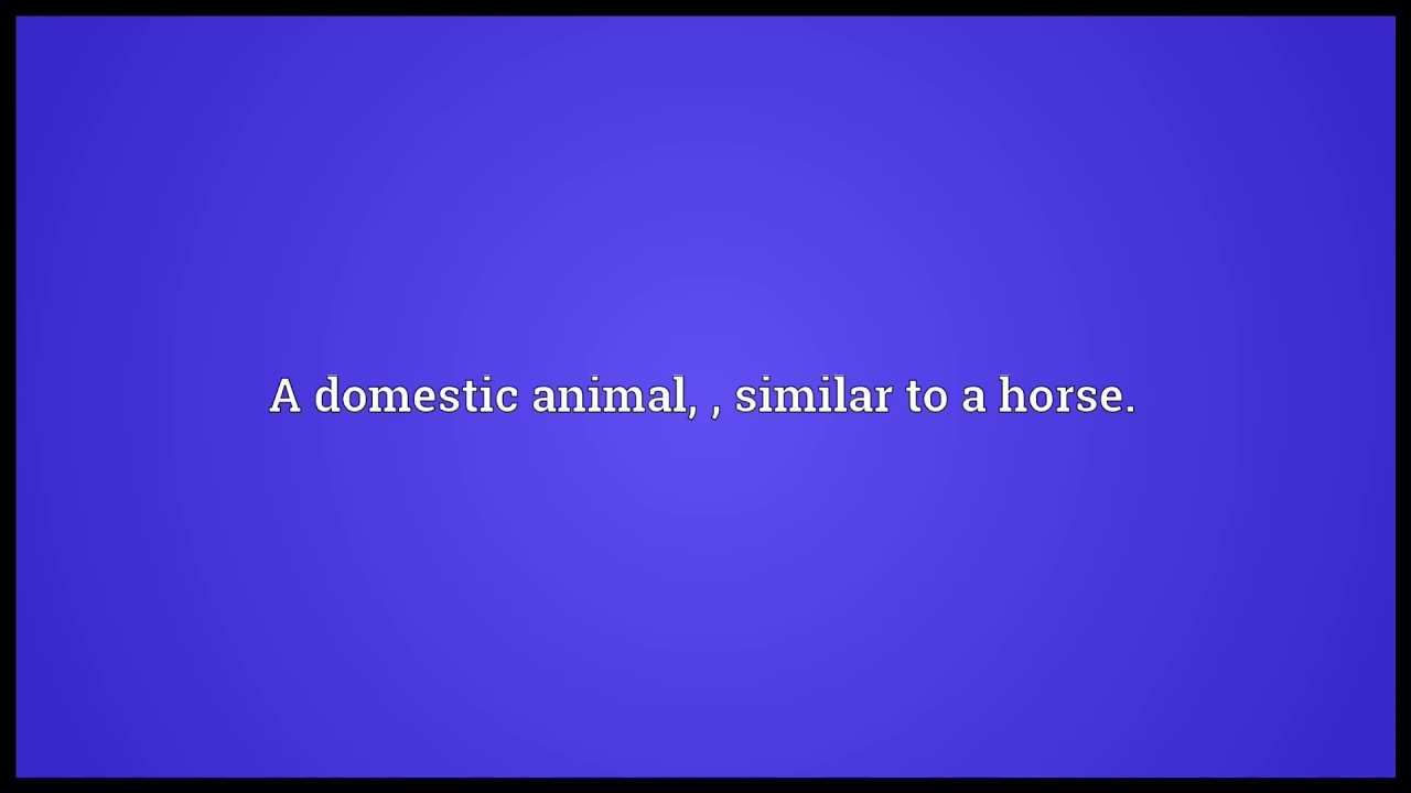 Donkey Meaning In English YouTube Donkey Meaning In English YouTube