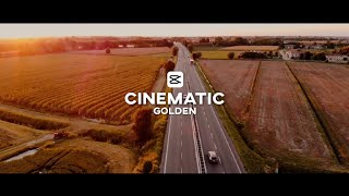 How to Edit Cinematic Golden | CapCut | Color Grading | For Free