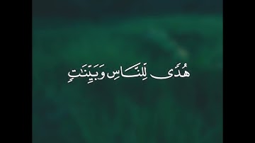 سلمان عبيد المطيري - سورة البقرة || يا أيها الذين آمنوا كتب عليكم الصيام