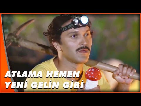 Ne Umduk Ne Bulduk | Geniş Aile: Yapıştır!