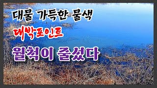 줄선 월척들  포인트를 보면 대박이 보인다