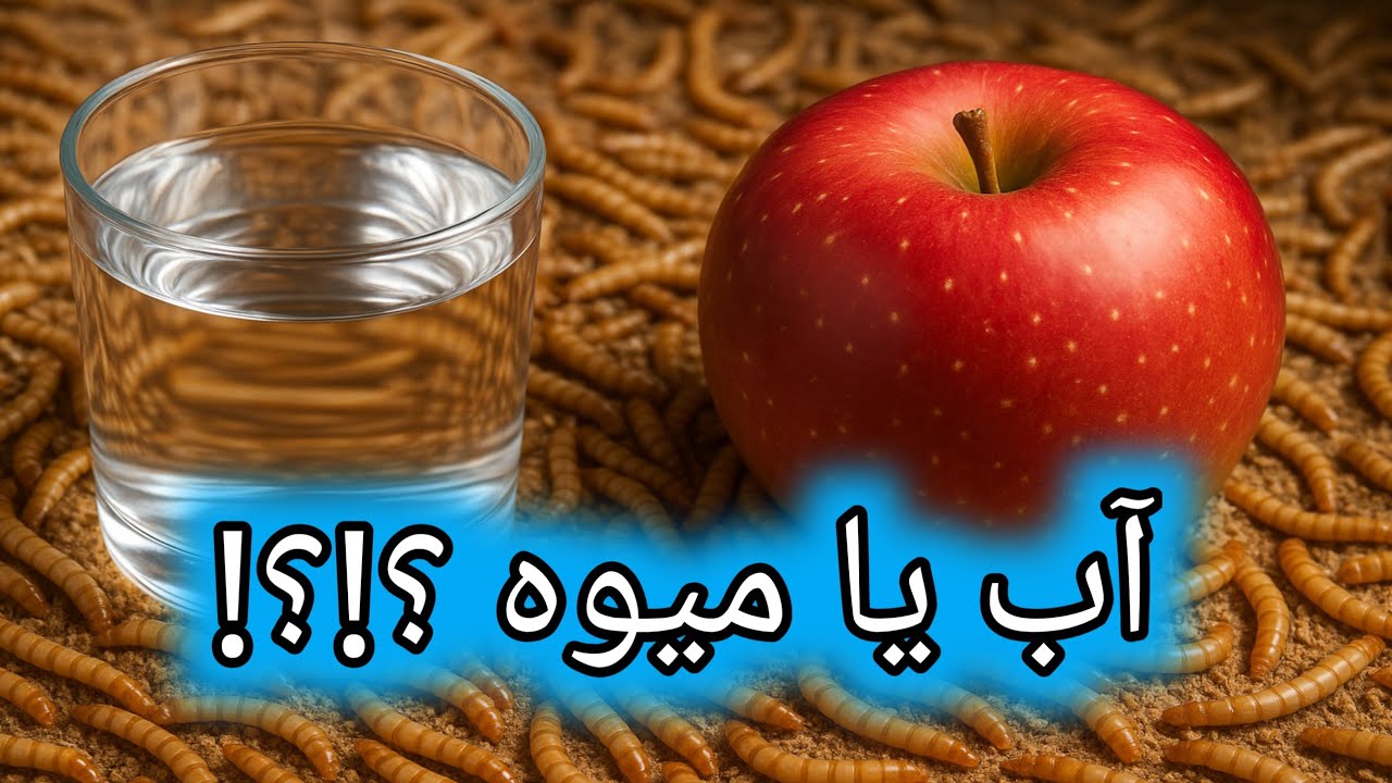 آیا آب میتونه جای میوه رو برای میلورم بگیره ؟ نتیجه باورنکردنی