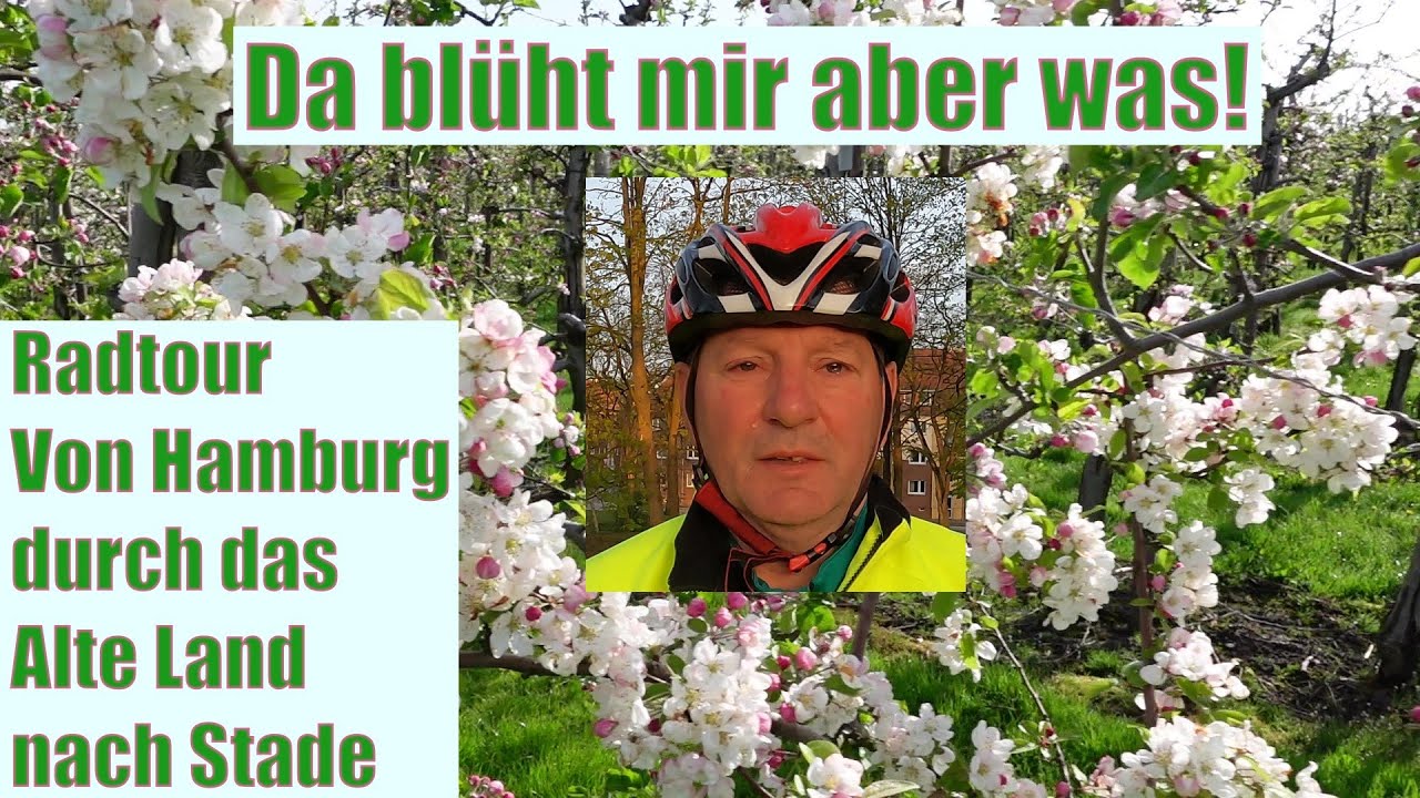 Da blüht mir aber was! Radtour von Hamburg durch das Alte Land nach Stade