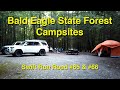 Bald Eagle State Forest Campsites - Swift Run Road #65 &amp; #66