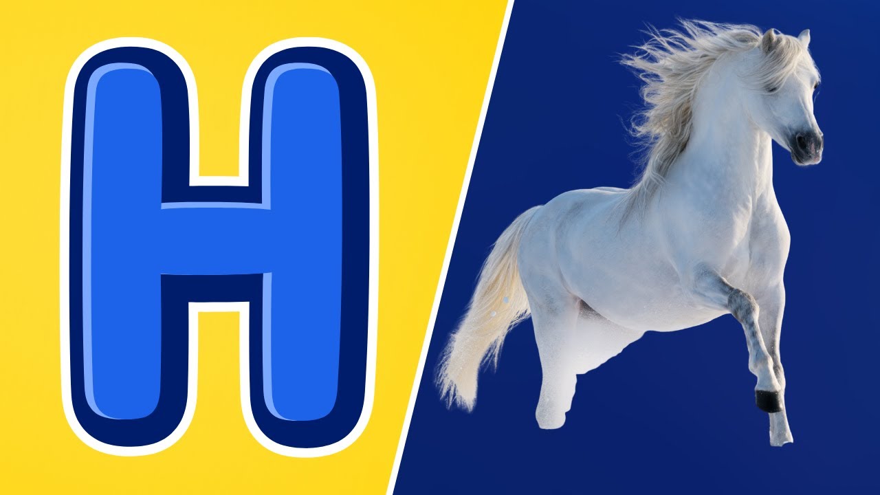 Слова на букву "H" | Лошадь 🐎 | |Мяу-мяу на английском | Курица 🐔 | Шляпа 🎩 |
