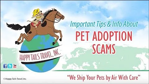 Pet Shipping Tips: Avoiding Pet Adoption Scams - DayDayNews