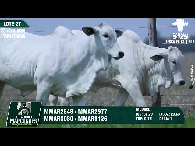 LOTE 27 MMAR 2848 2977 3080 3126