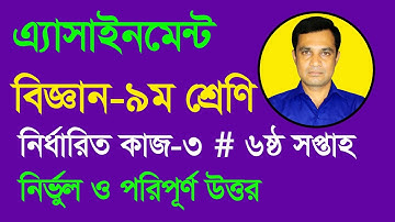 class 9 science assignment answer 6th week