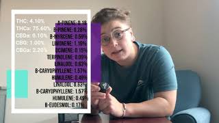 Grassroots | GSC (Girl Scout Cookies) Budder Review