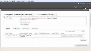 Grading Manually in blackboard