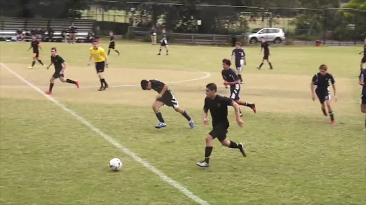 Richard Palumbo Football Highlights 2018/19