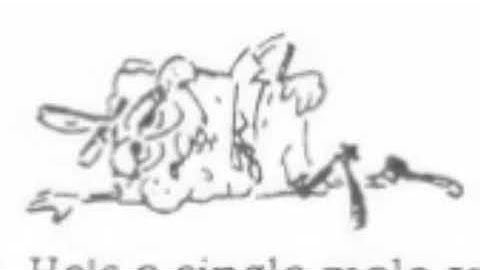 SpongeBoy Ahoy! Intro Recording (pratically found)