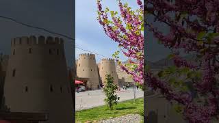 Худжанд крепость/Таджикистан весной