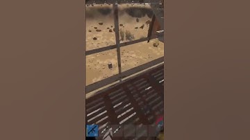 Топ инфа от тиммейта- РАСТ | RUST #раст #nix #rust #newrust #rustmoment #мувик #rustmoments