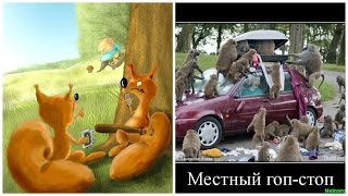 Загадочная ИСТОРИЯ (ч.54) Предотвращение ограбления | Исцеление боли в животе | Проводы Загадочная ИСТОРИЯ (ч.54) Предотвращение ограбления | Исцеление боли в животе | Проводы