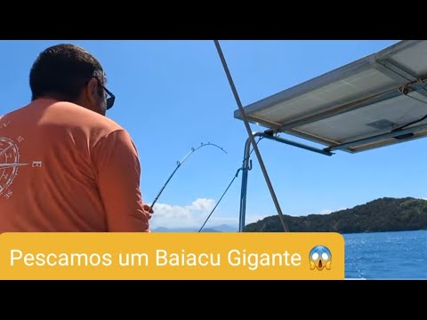⁣Pescamos um BAIACU  Gigante ! Velejada com os amigos #80
