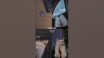 {وهو الذي يقبل التوبة عن عباده} القارئ اسلام صبحي حالات ستوريات #قرآن #quran 💙🖤