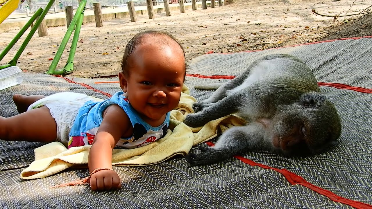 Oh Monkey  Sok Is very cute with human  baby  YouTube