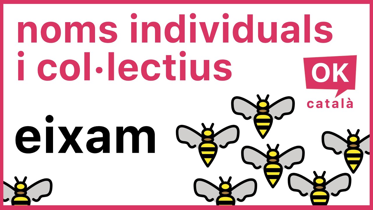 Noms individuals 🐑 i col·lectius 🐑🐑🐑🐑🐑 | OK CATALÀ | 4K - YouTube