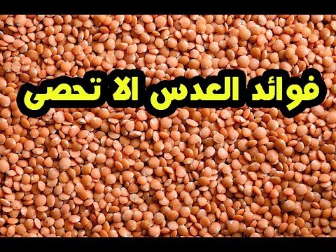 فيديو: لماذا العدس مفيد