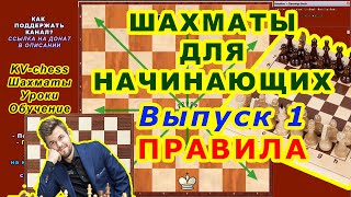 ШАХМАТЫ УРОКИ♔ ОБУЧЕНИЕ для начинающих онлайн ♕ ВИДЕО 1 Шахматные правила игры ШАХМАТЫ УРОКИ♔ ОБУЧЕНИЕ для начинающих онлайн ♕ ВИДЕО 1 Шахматные правила игры